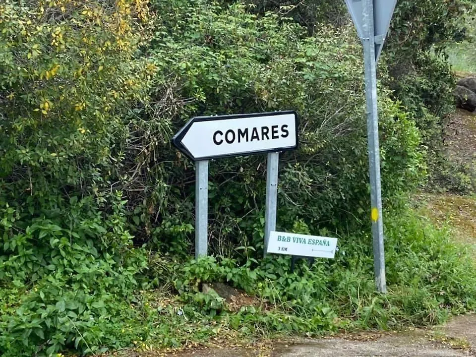 Nocleg ze śniadaniem Viva Espana Comares